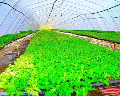 AGRI DEAL-047-min AGRI DEAL-047-min