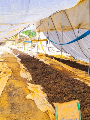 compost-min compost-min