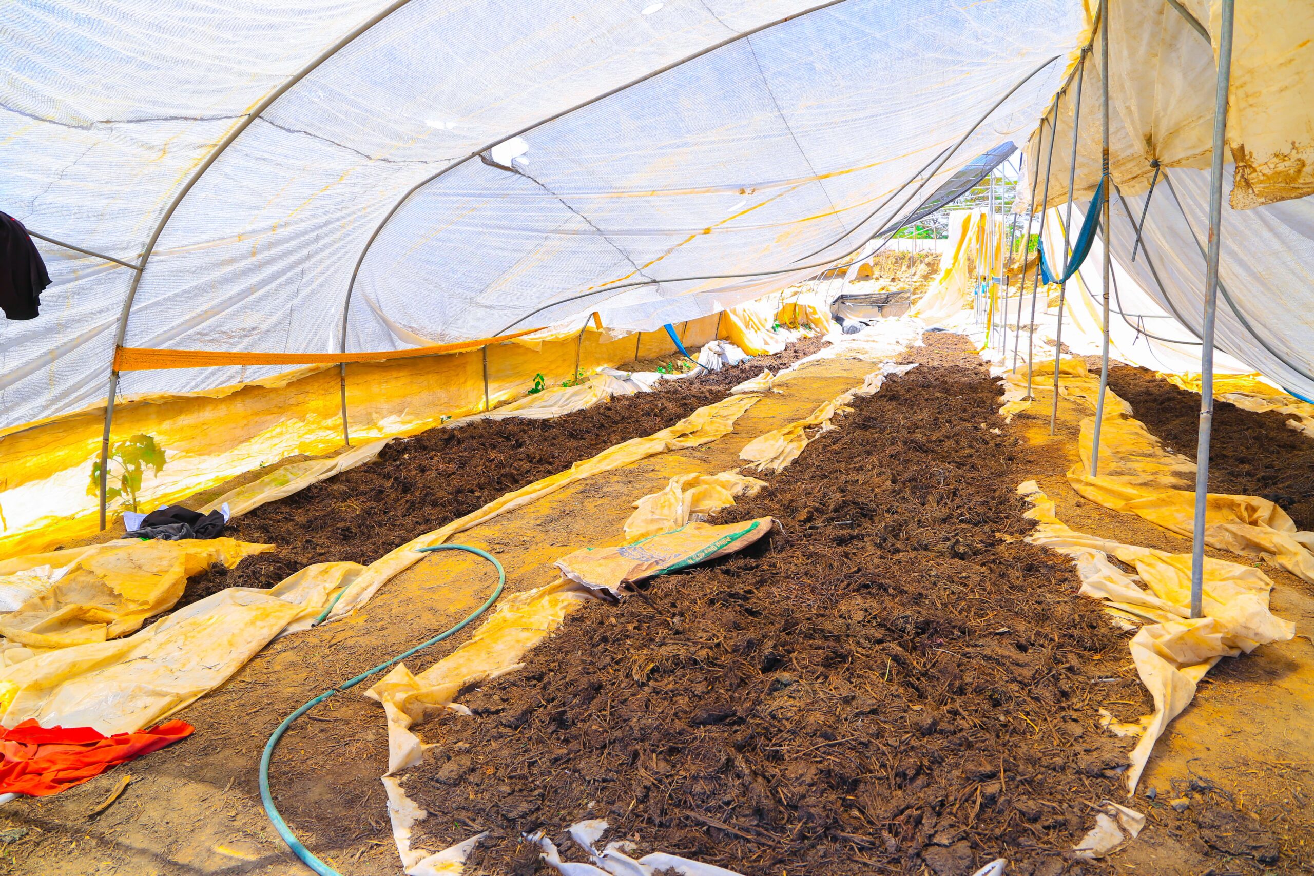 composting in commercial horticulture